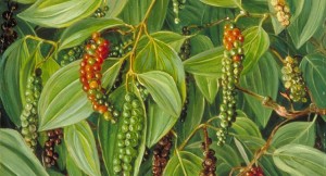 Black Filfil Green